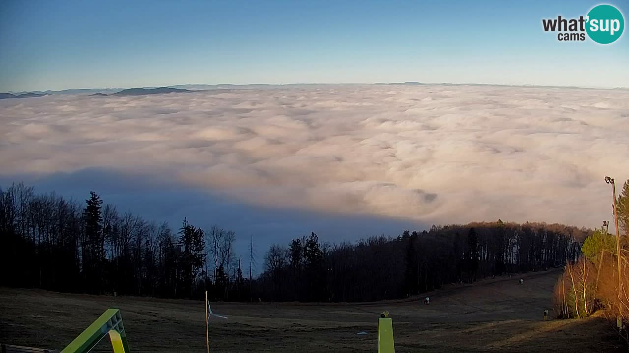 Webcam Pohorje | Station Sleme