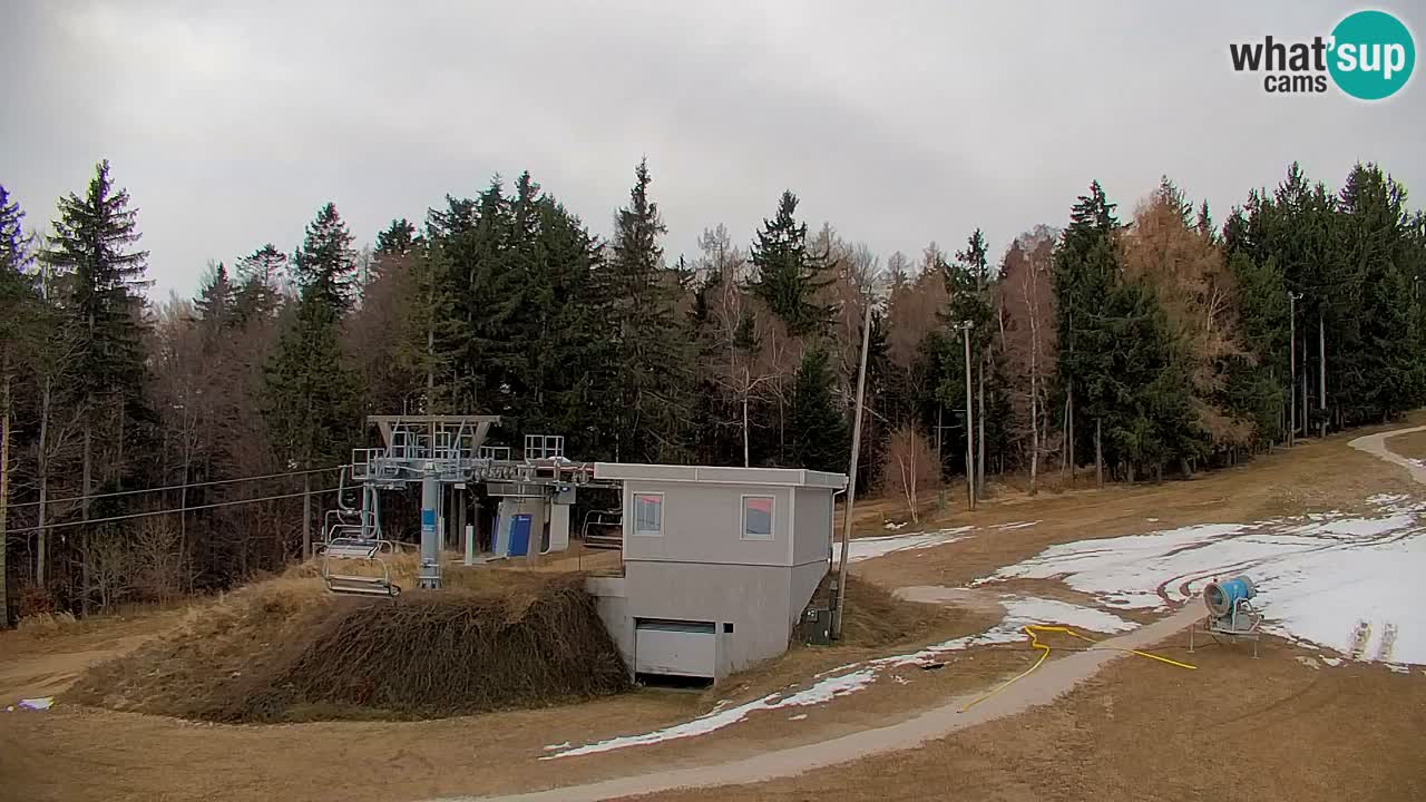 Webcam Pohorje | Station Sleme