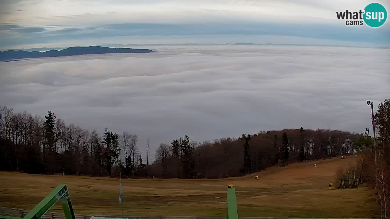 Webcam Pohorje | Station Sleme