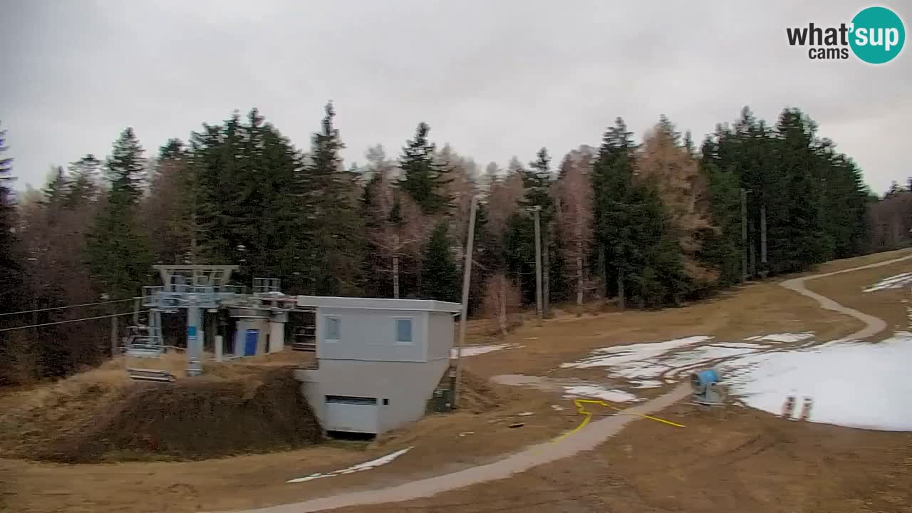 Pohorje Webcam | Sleme Talstation