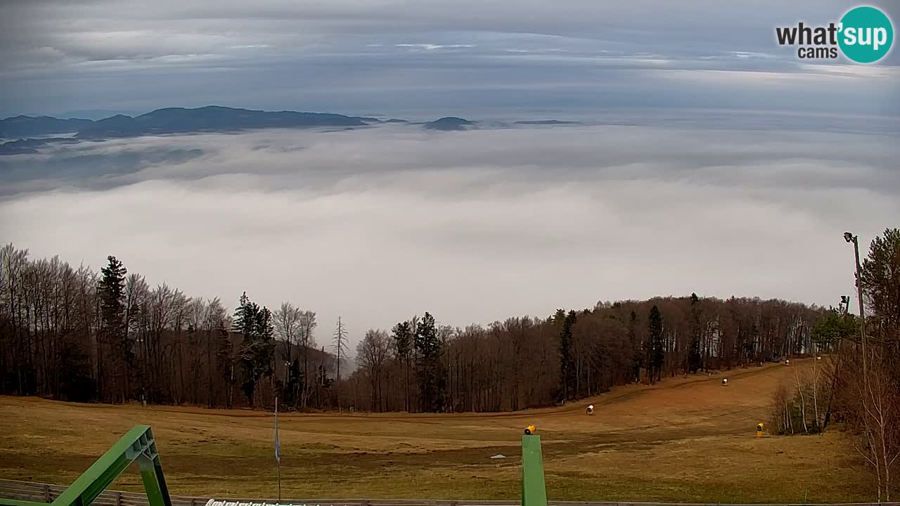 Pohorje Webcam | Sleme Talstation
