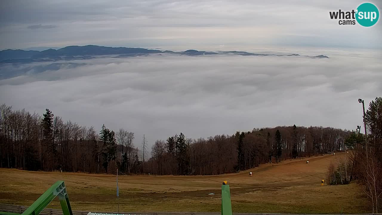 Webcam Pohorje | Station Sleme