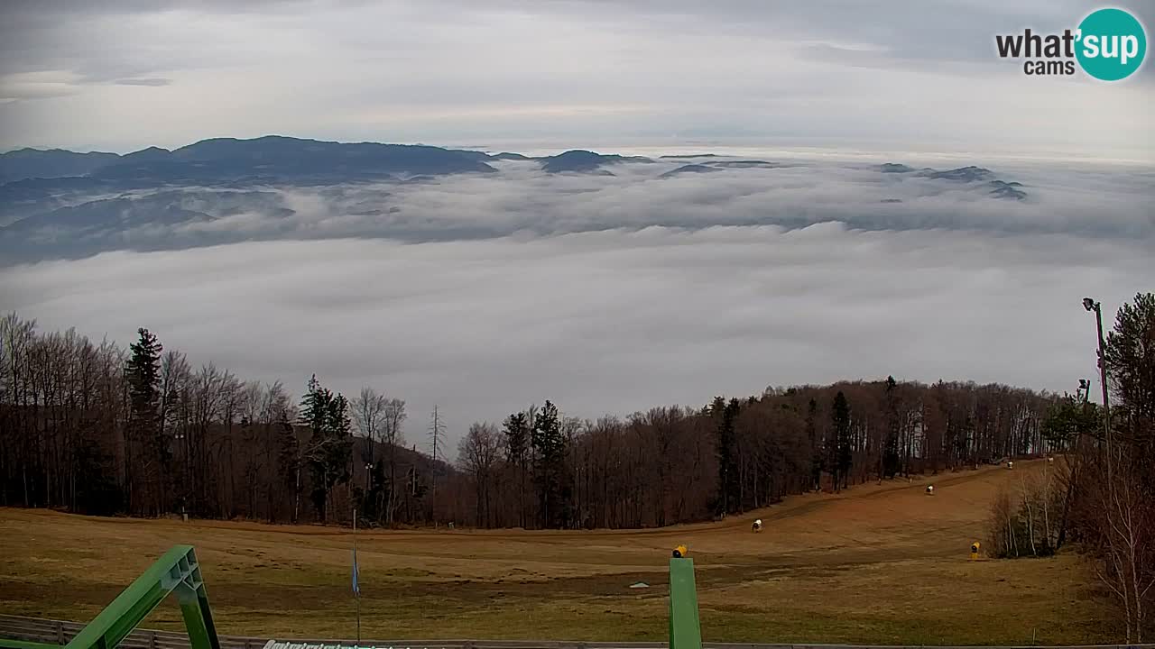 Webcam Pohorje | Stazione Inferiore Sleme