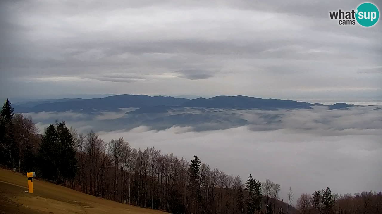 Pohorje Webcam | Sleme Talstation