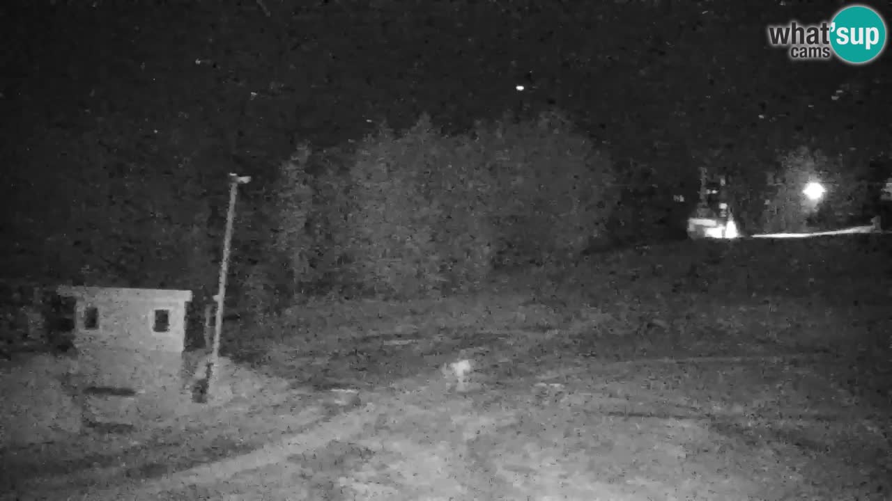 Pohorje spletna kamera | Spodnja postaja Sleme