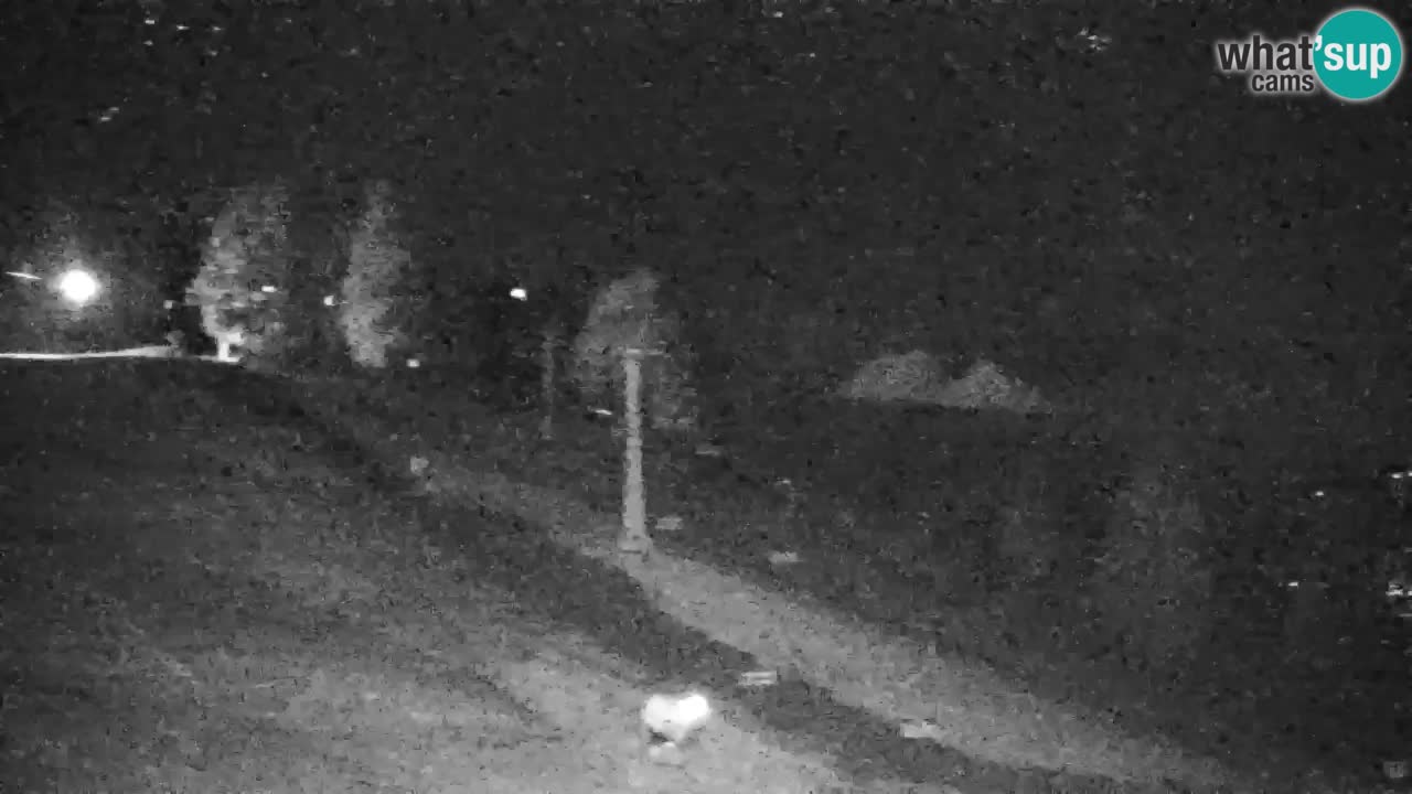 Pohorje webcam | Sleme lower station