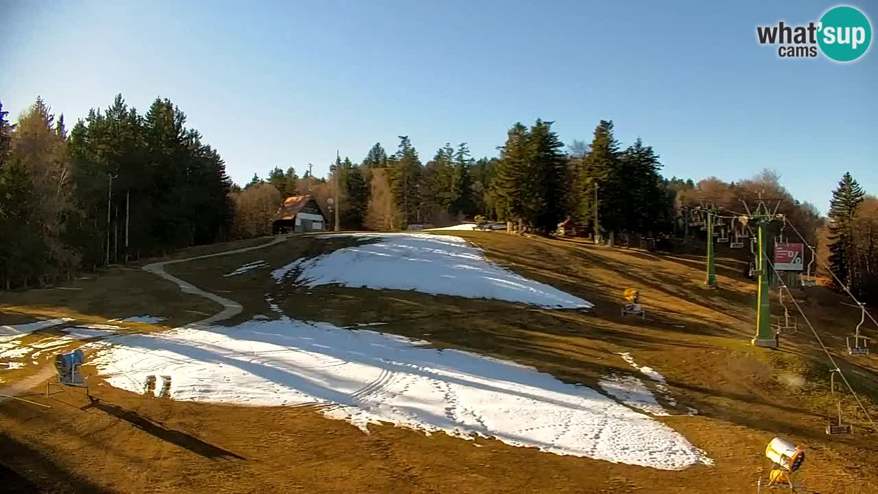 Pohorje Webcam | Sleme Talstation