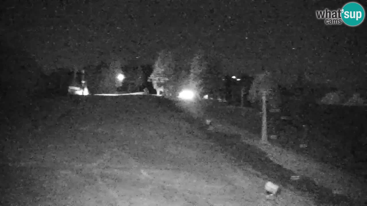 Pohorje Webcam | Sleme Talstation