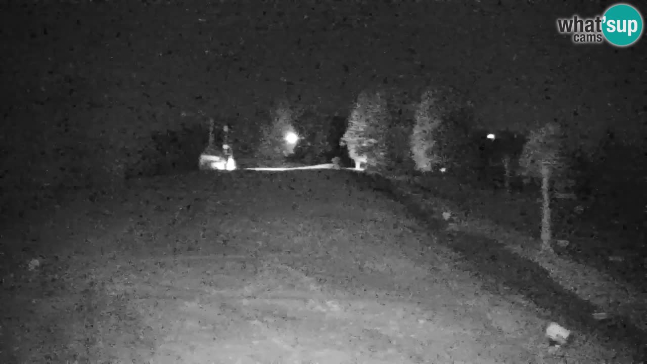 Pohorje Webcam | Sleme Talstation