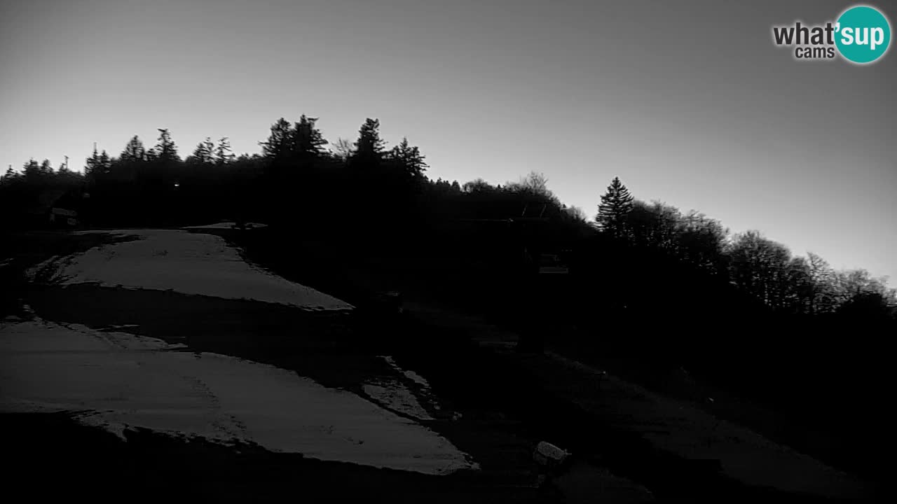 Webcam Pohorje | Station Sleme