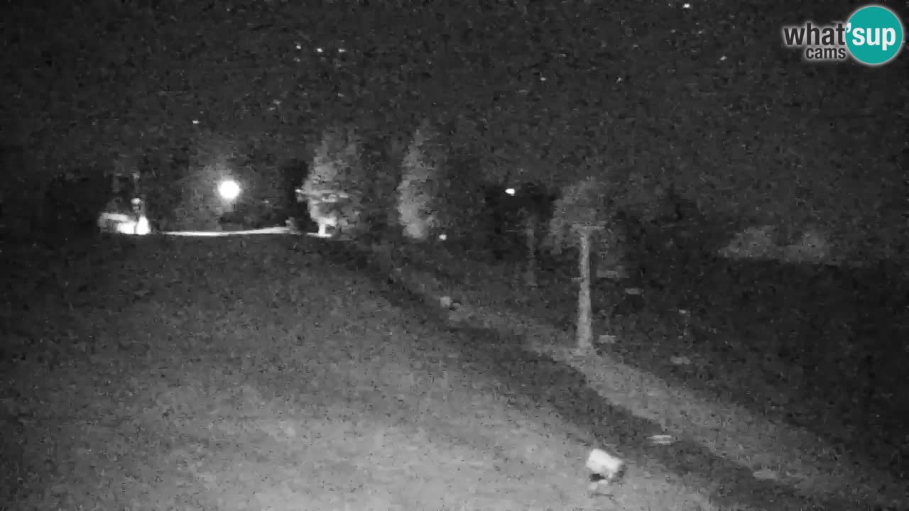 Webcam Pohorje | Station Sleme