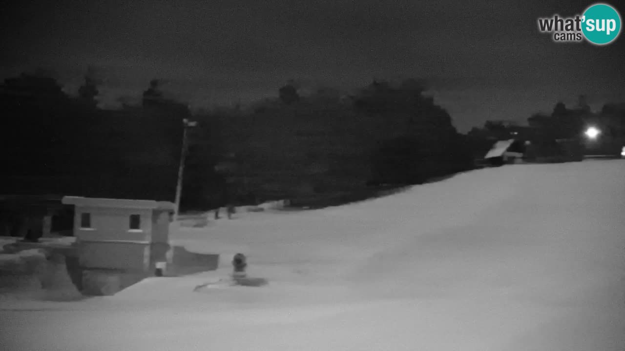Pohorje Webcam | Sleme Talstation