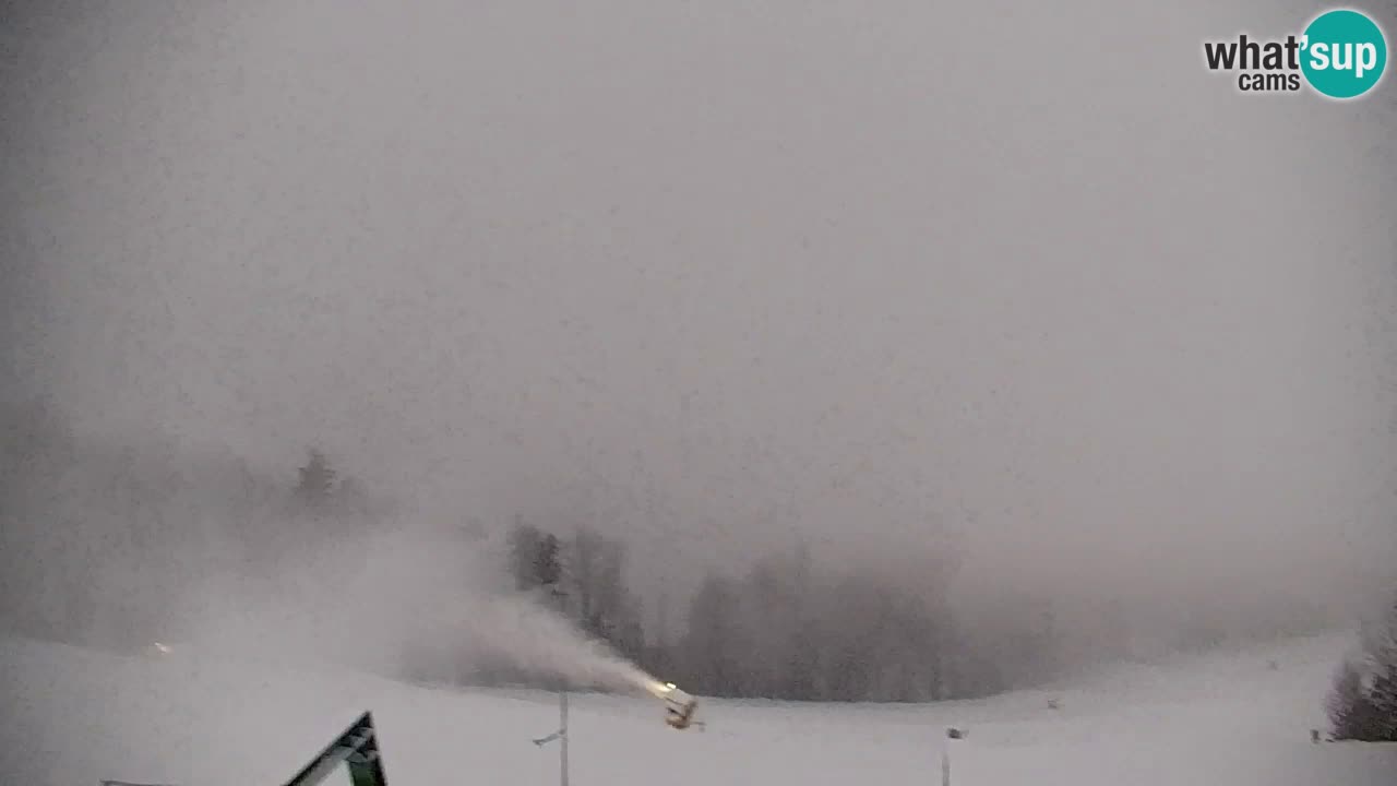 Webcam Pohorje | Estación Inferior de Sleme