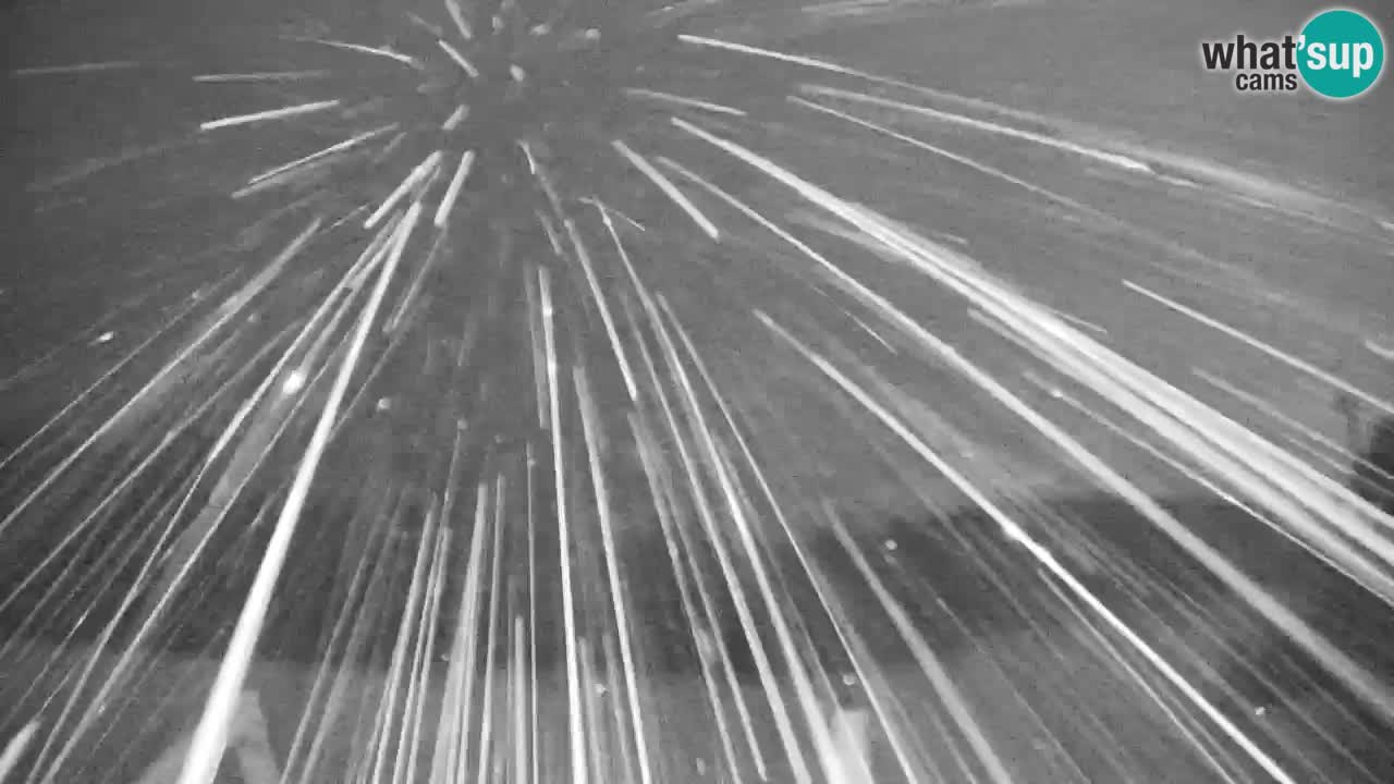 Pohorje spletna kamera | Spodnja postaja Sleme