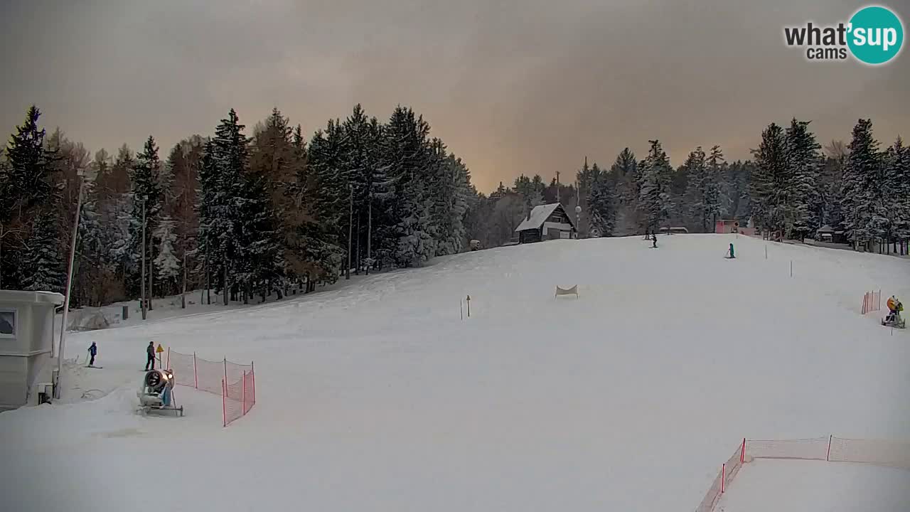 Webcam Pohorje | Stazione Inferiore Sleme