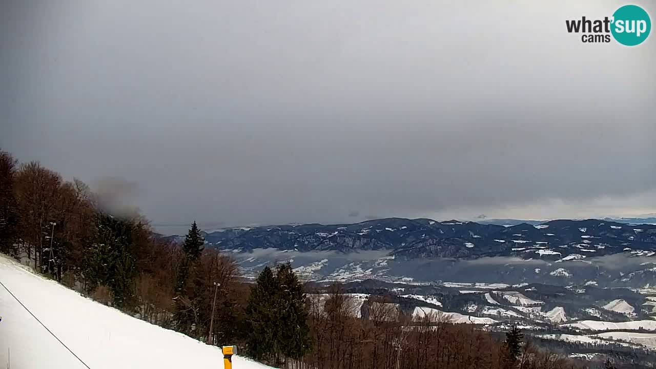 Pohorje webcam | Sleme lower station