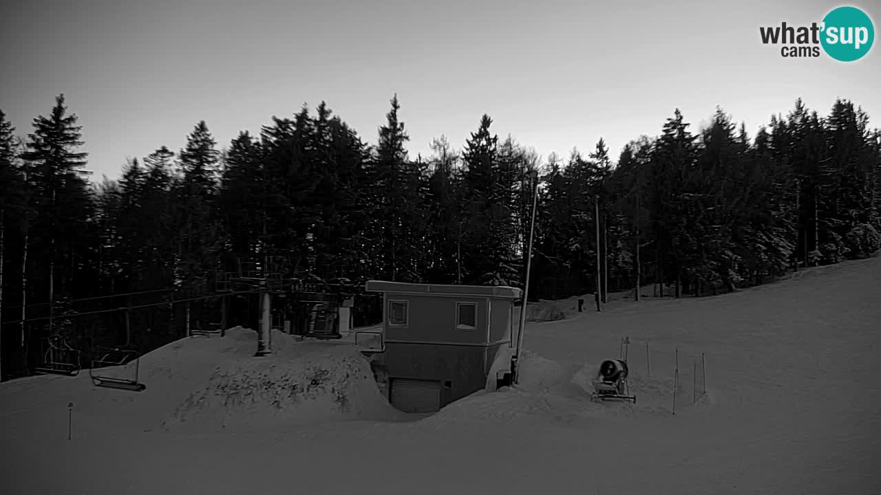 Webcam Pohorje | Station Sleme