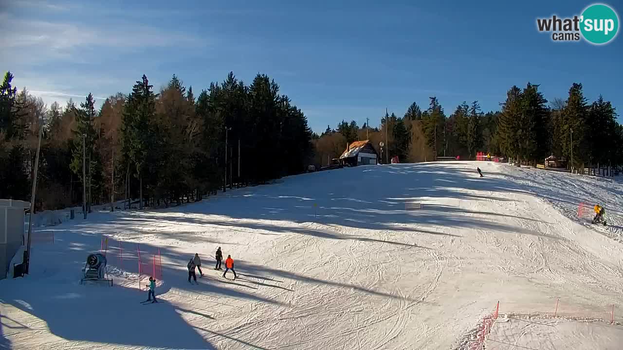 Webcam Pohorje | Station Sleme