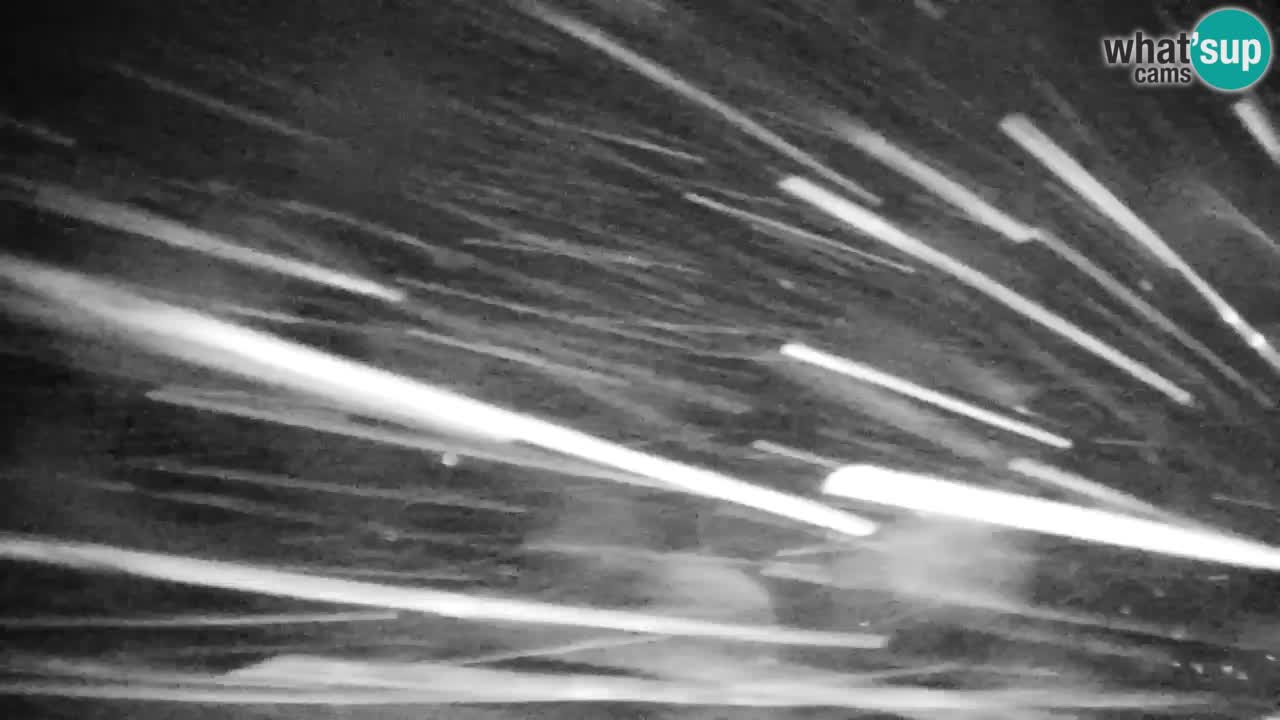 Pohorje Webcam | Sleme Talstation