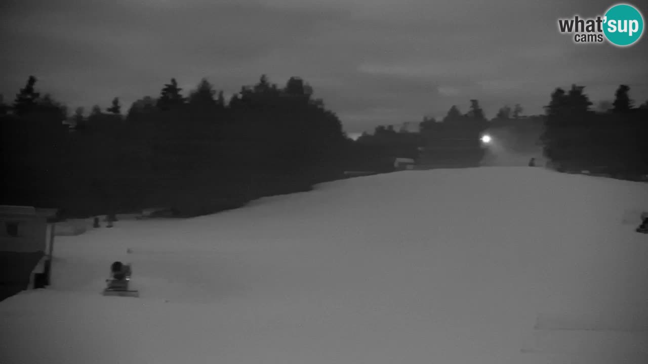 Pohorje Webcam | Sleme Talstation