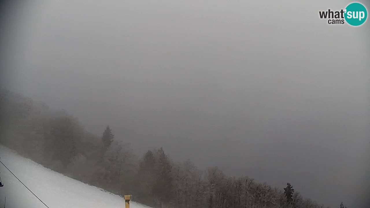 Pohorje Webcam | Sleme Talstation