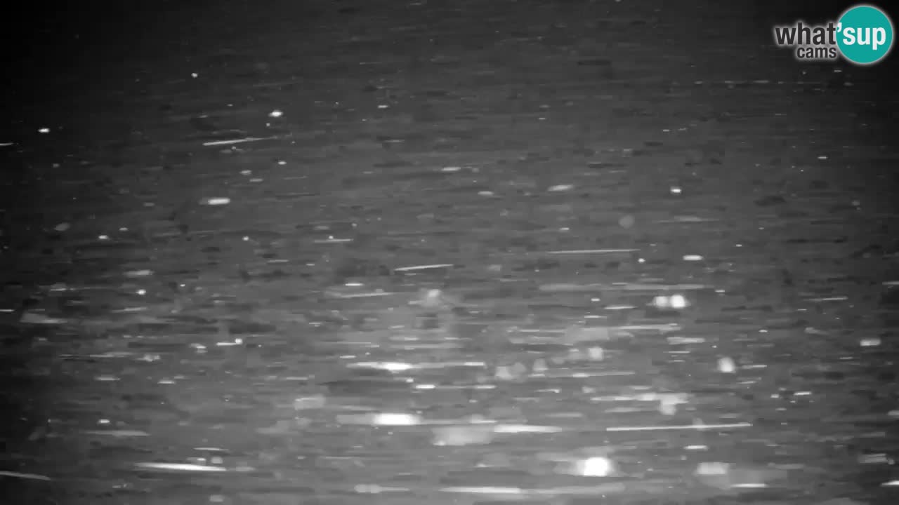 Pohorje Webcam | Sleme Talstation