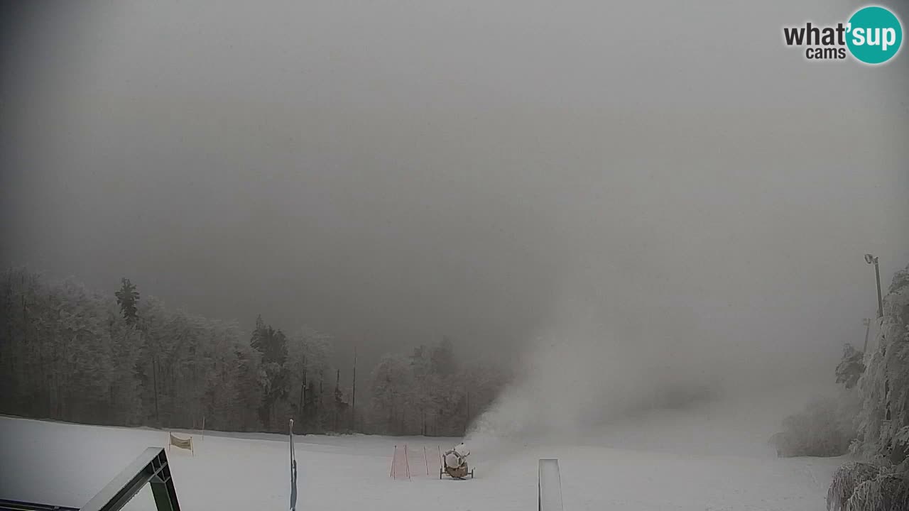 Pohorje spletna kamera | Spodnja postaja Sleme