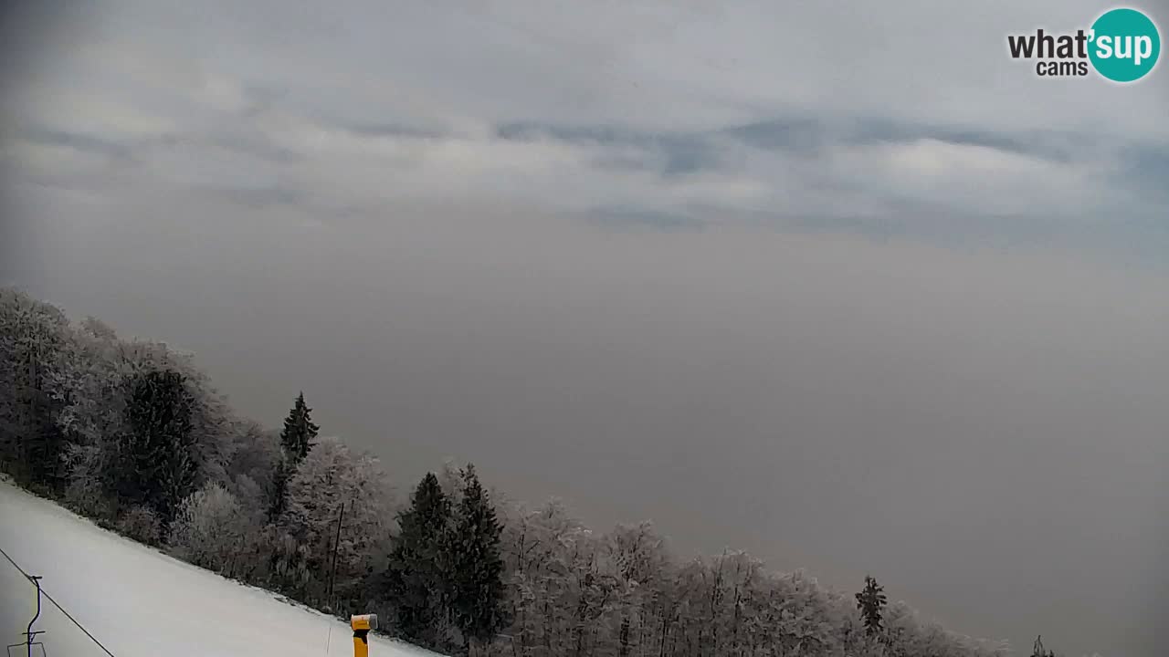 Webcam Pohorje | Estación Inferior de Sleme