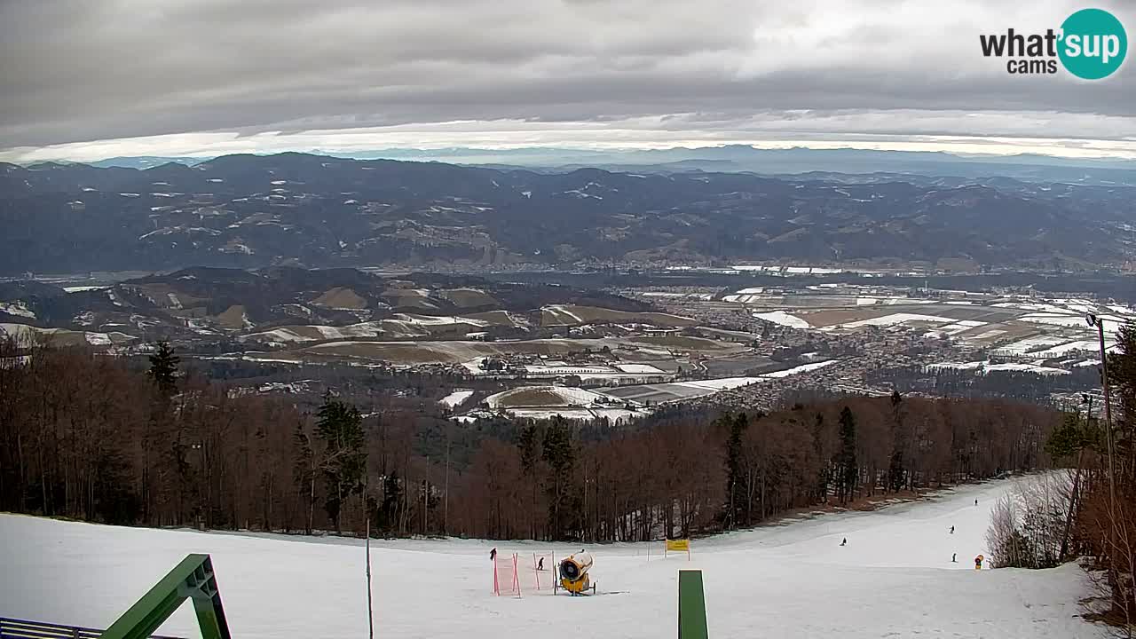 Webcam Pohorje | Station Sleme