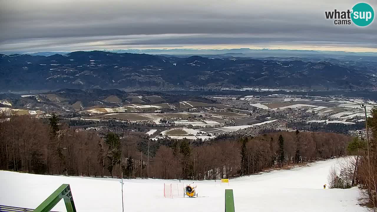 Pohorje spletna kamera | Spodnja postaja Sleme