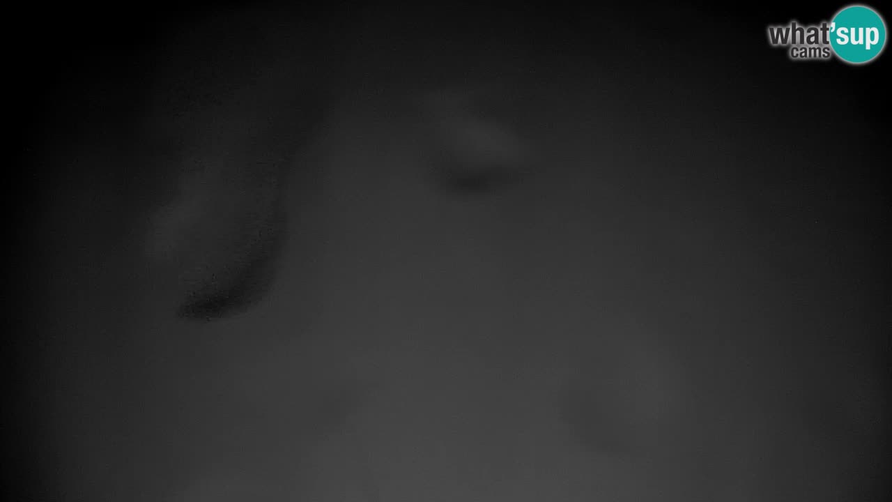 Pohorje Webcam | Sleme Talstation