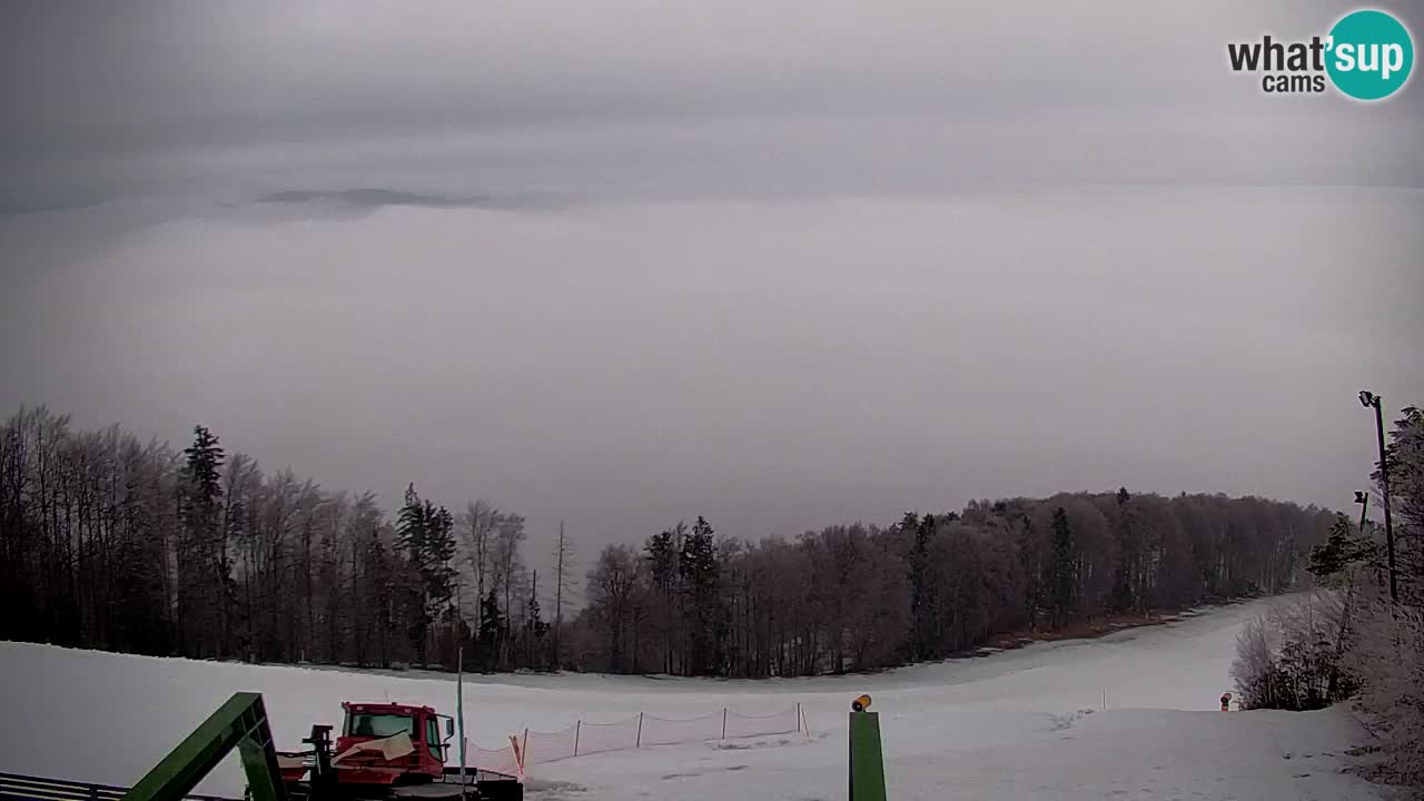 Pohorje Webcam | Sleme Talstation