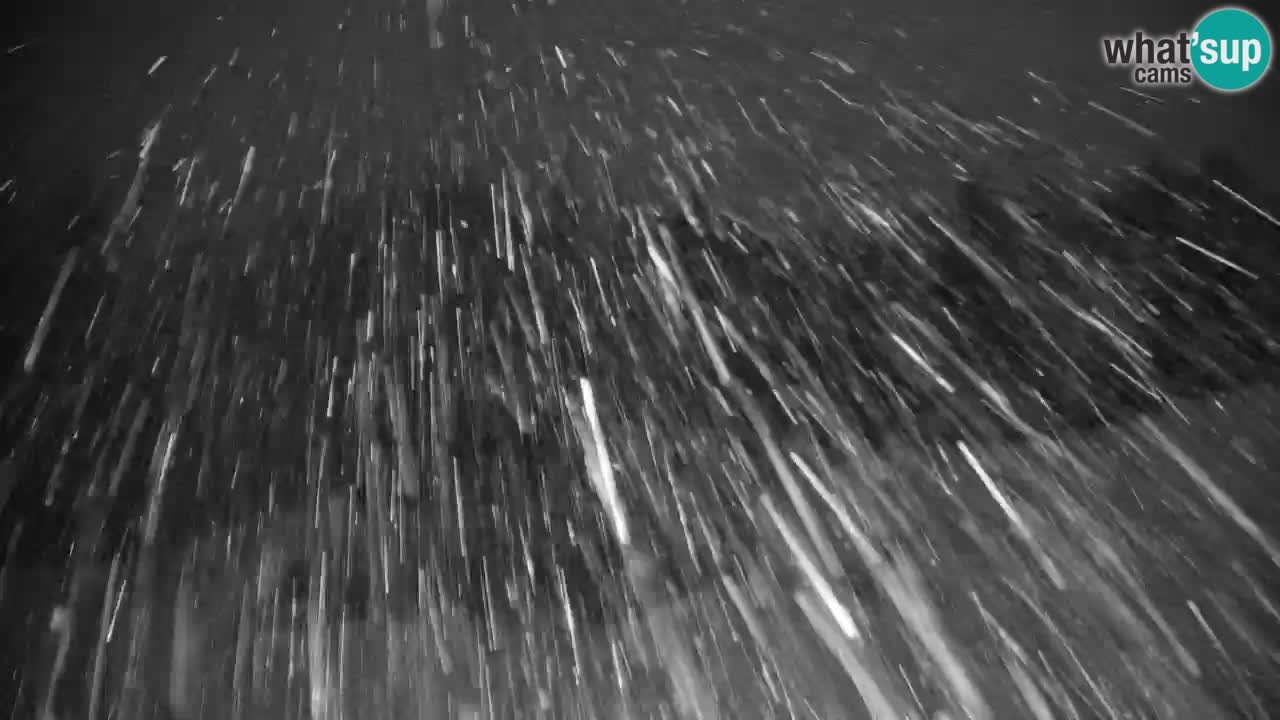 Pohorje webcam | Sleme lower station