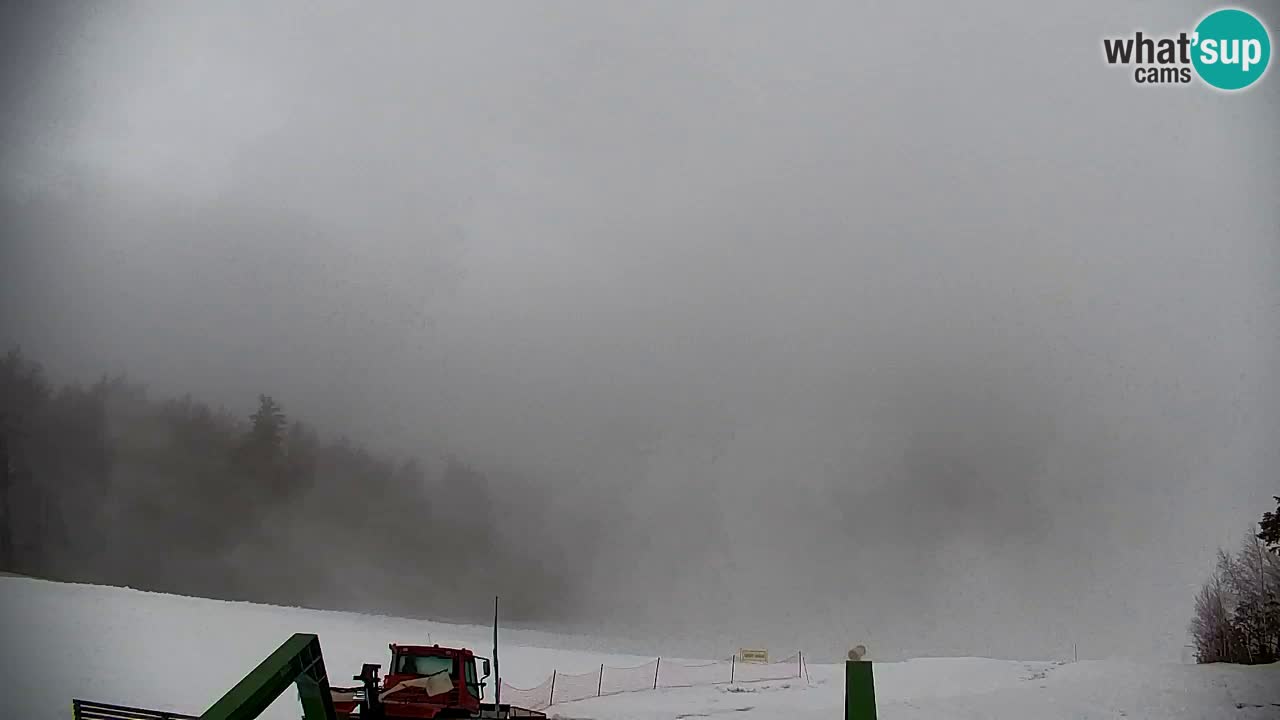 Webcam Pohorje | Station Sleme