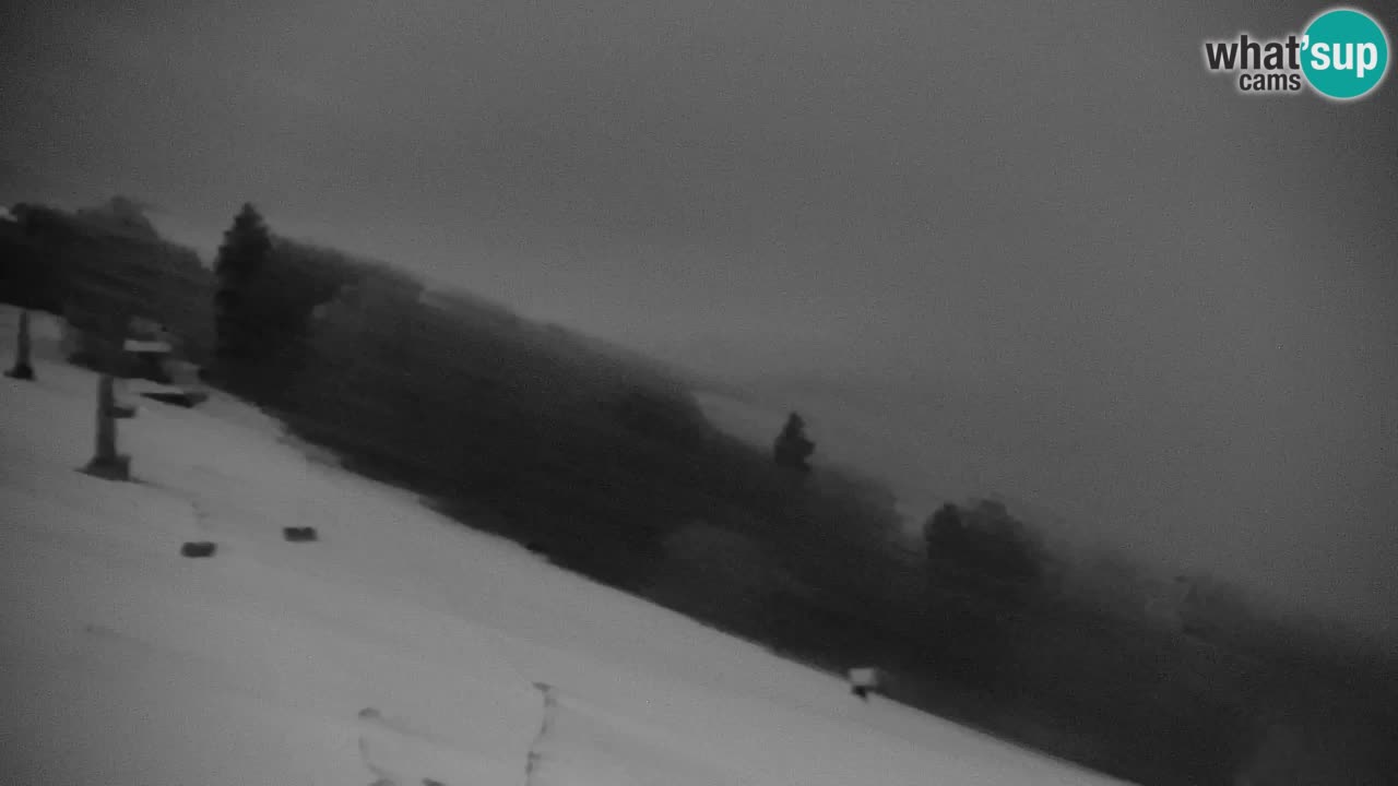 Webcam Pohorje | Station Sleme