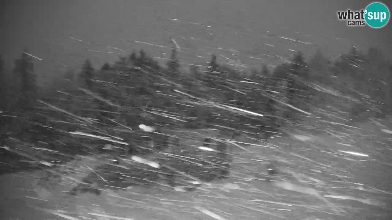 Webcam Pohorje | Estación Inferior de Sleme