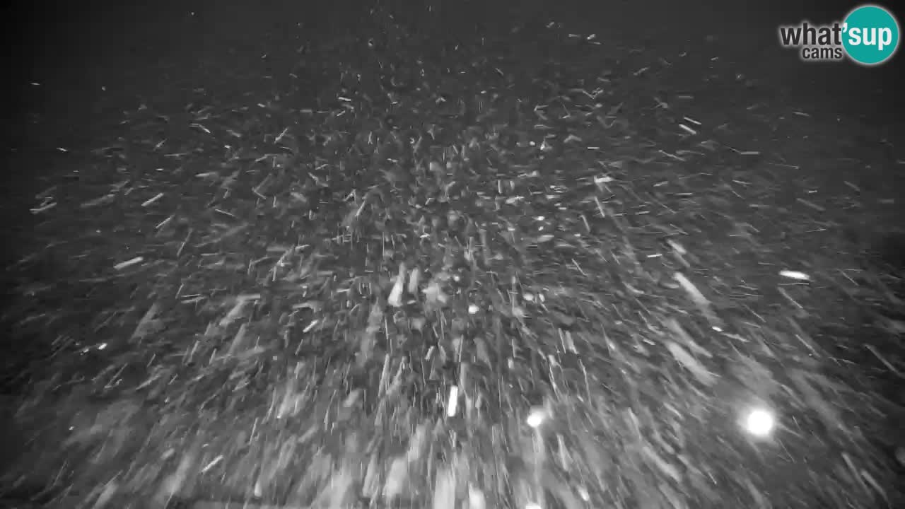 Pohorje Webcam | Sleme Talstation