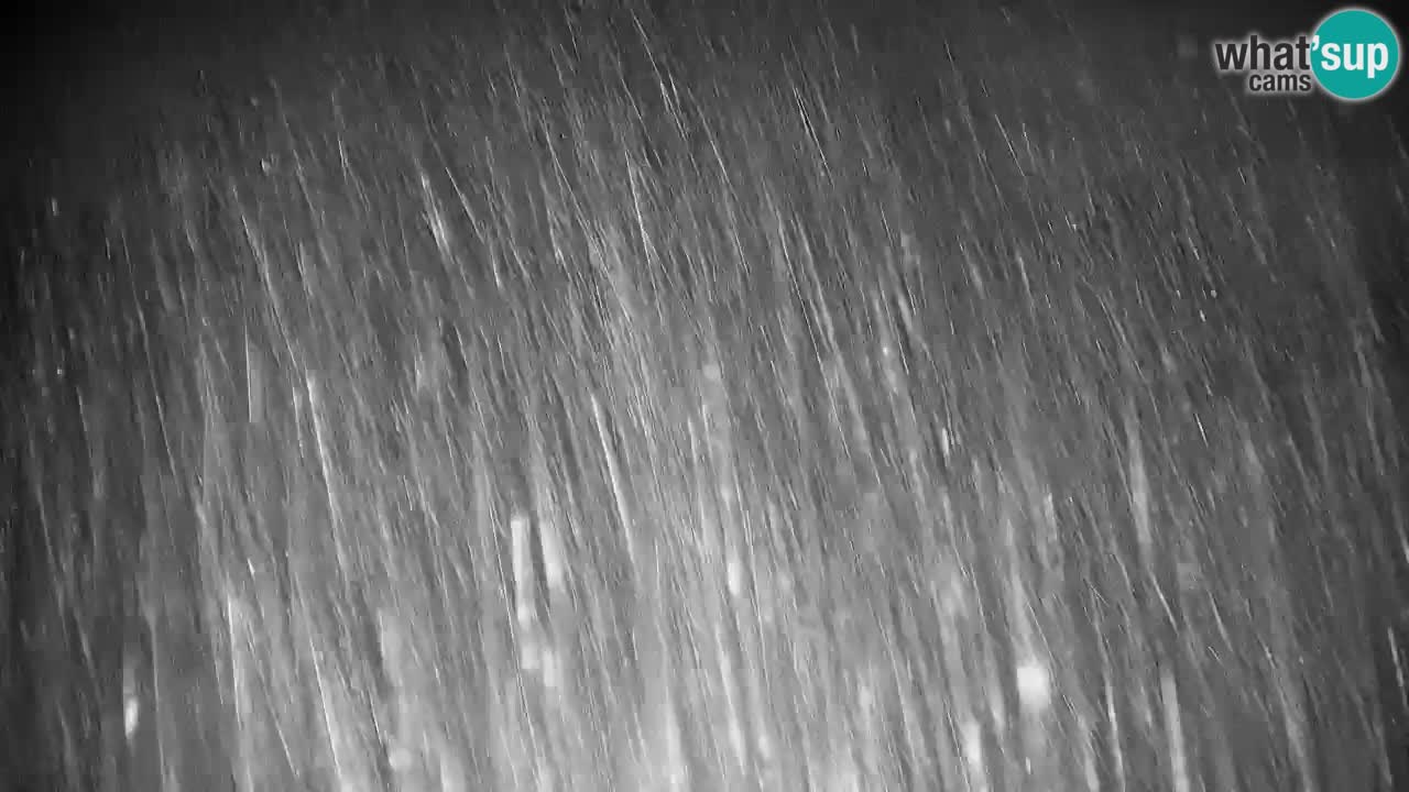 Pohorje Webcam | Sleme Talstation