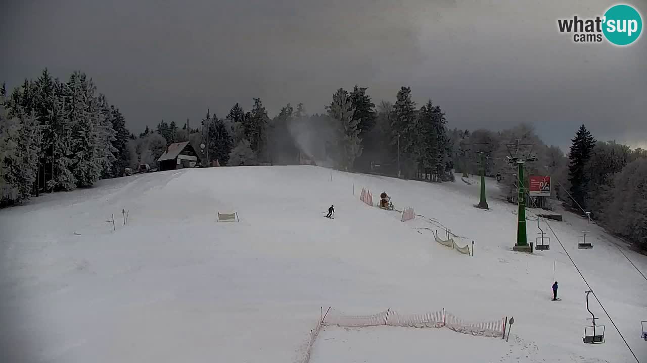 Webcam Pohorje | Stazione Inferiore Sleme