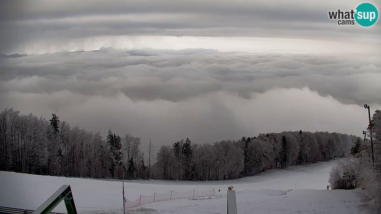 Pohorje webcam | Sleme lower station