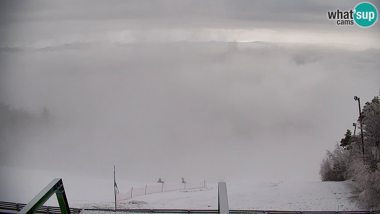 Pohorje Webcam | Sleme Talstation