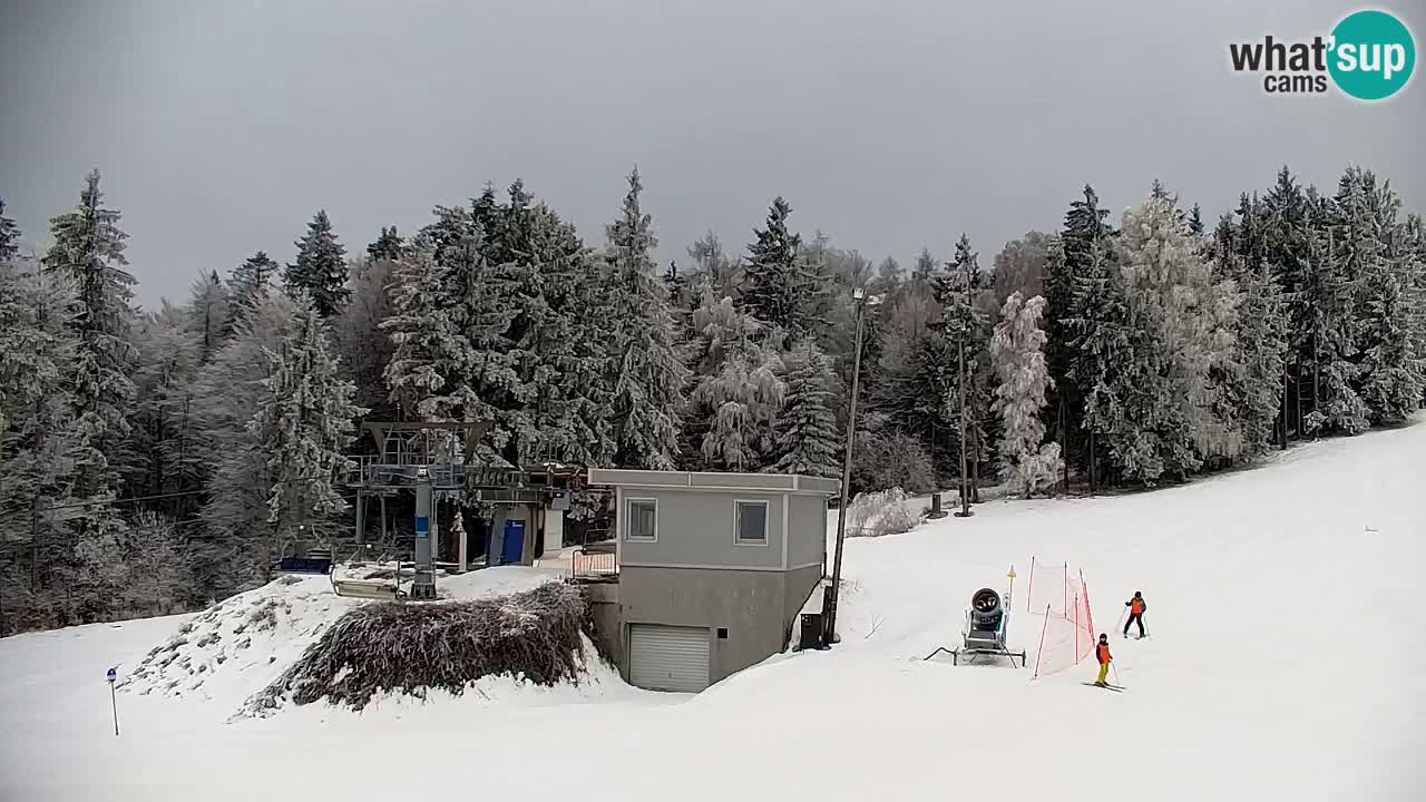 Pohorje Web kamera | Sleme Donja Stanica