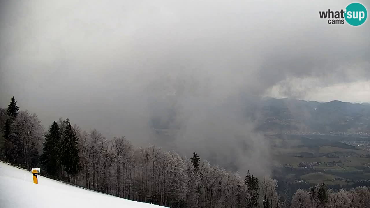 Webcam Pohorje | Stazione Inferiore Sleme