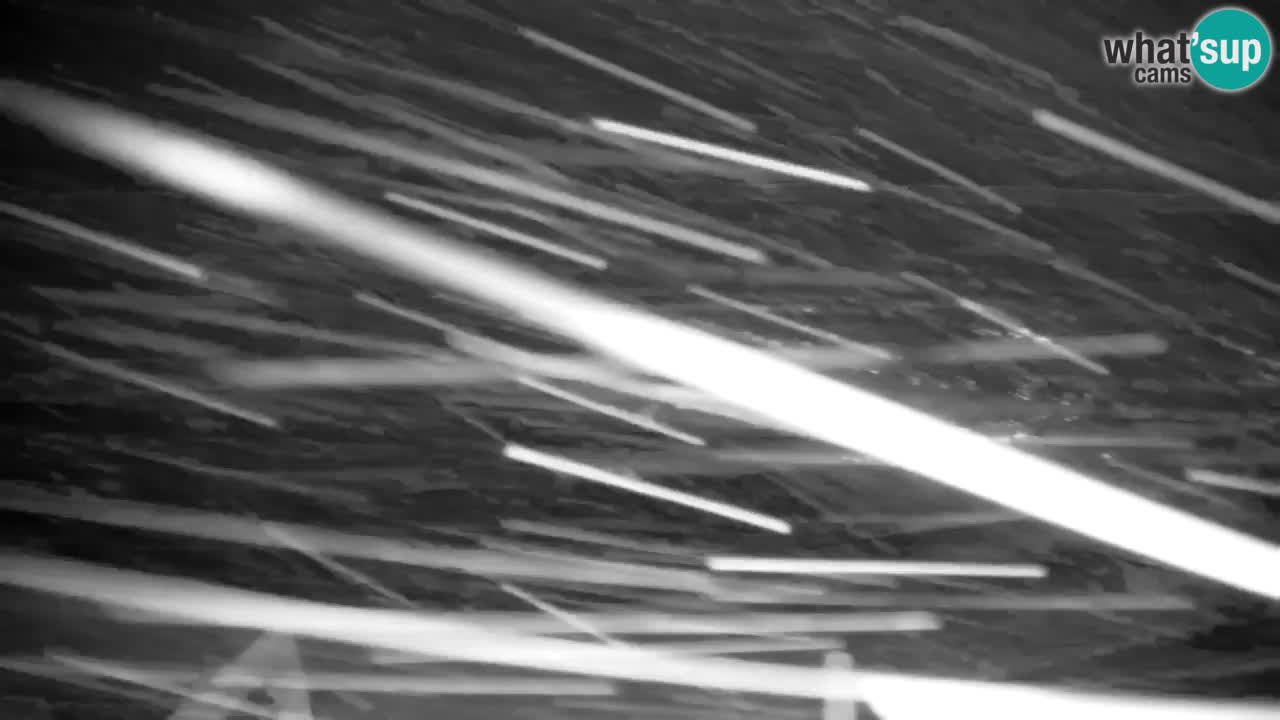 Pohorje spletna kamera | Spodnja postaja Sleme