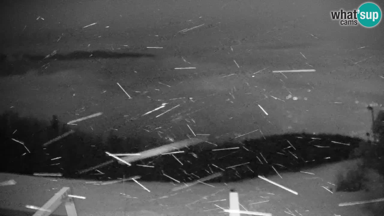 Pohorje Webcam | Sleme Talstation