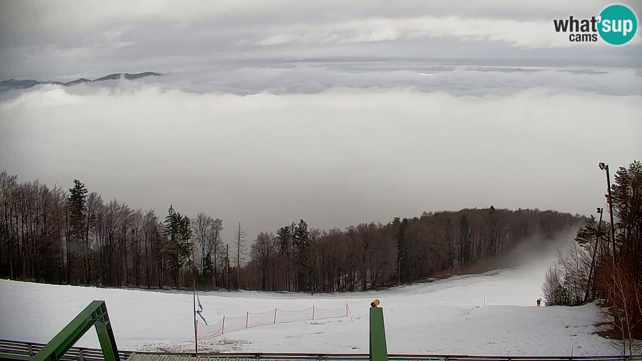 Pohorje spletna kamera | Spodnja postaja Sleme