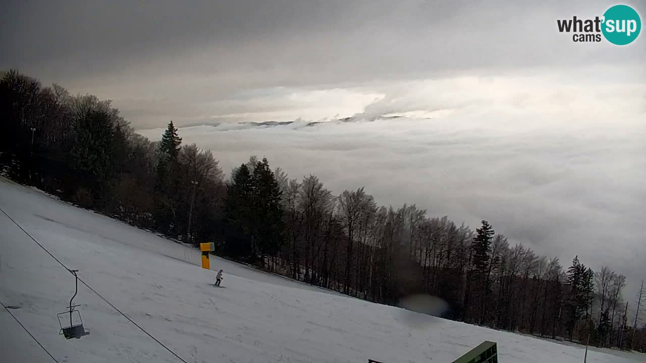 Pohorje Webcam | Sleme Talstation