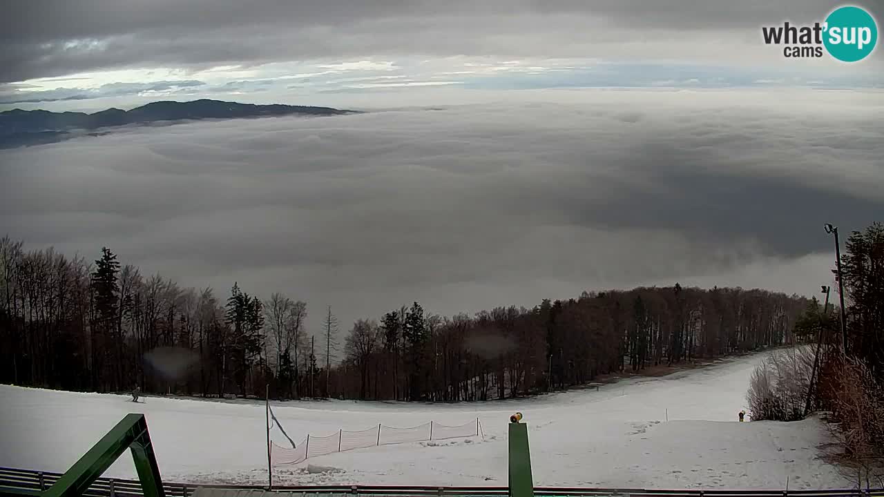 Pohorje Webcam | Sleme Talstation