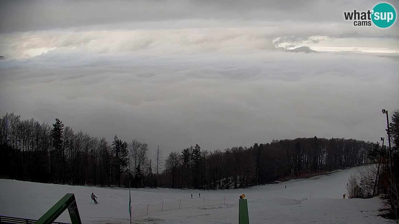 Webcam Pohorje | Stazione Inferiore Sleme