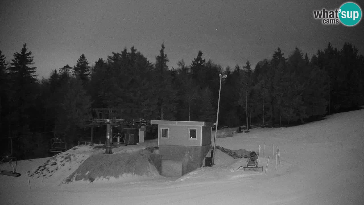 Pohorje Webcam | Sleme Talstation
